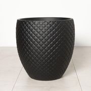 Newmarket Egg gallery detail image