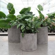Mikonui Cylinder Planter Weathered Cement - Small gallery detail image