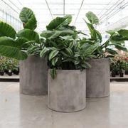 Mikonui Cylinder Planter Weathered Cement - Medium gallery detail image