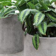 Mikonui Cylinder Planter Weathered Cement - Small gallery detail image