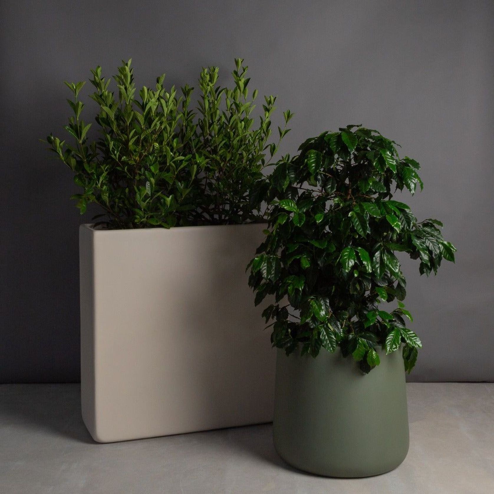Hibernate High Line Planters - Stone gallery detail image