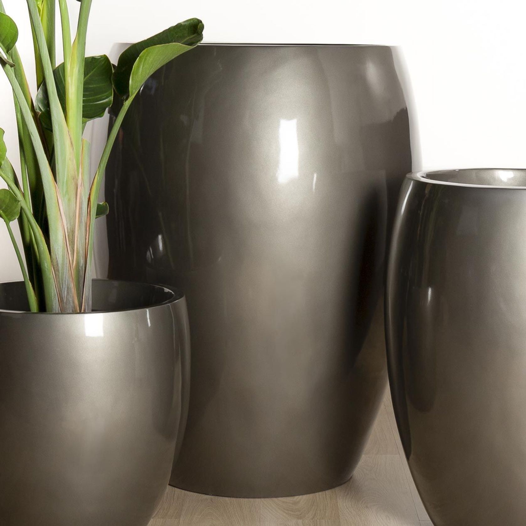 Newmarket Egg gallery detail image