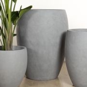 Newmarket Egg gallery detail image