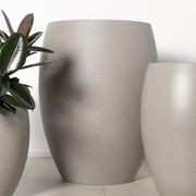 Newmarket Egg gallery detail image