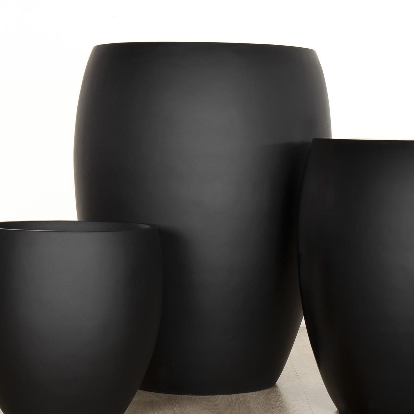 Newmarket Egg gallery detail image