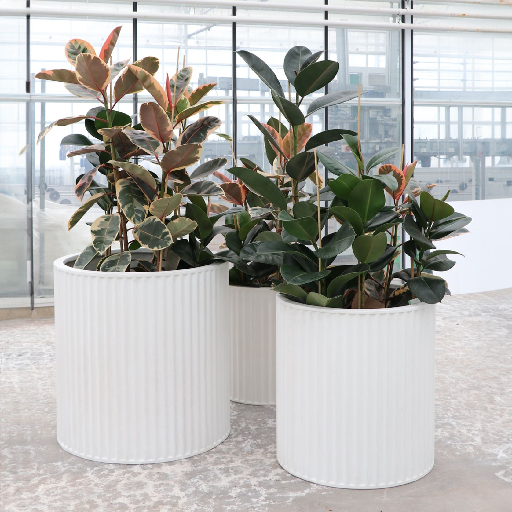 Piako Ribbed Cylinder Planter White - Small gallery detail image
