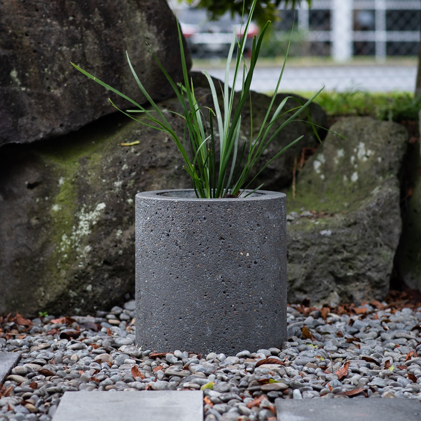 Concrete Planter Boxes gallery detail image
