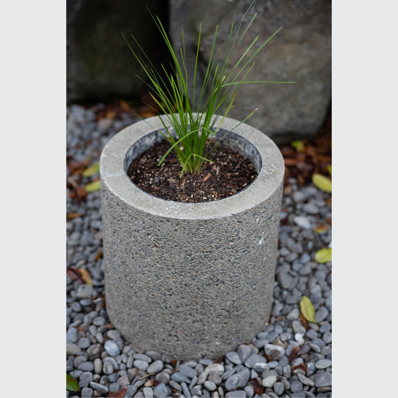 Concrete Planter Boxes gallery detail image