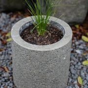 Concrete Planter Boxes gallery detail image