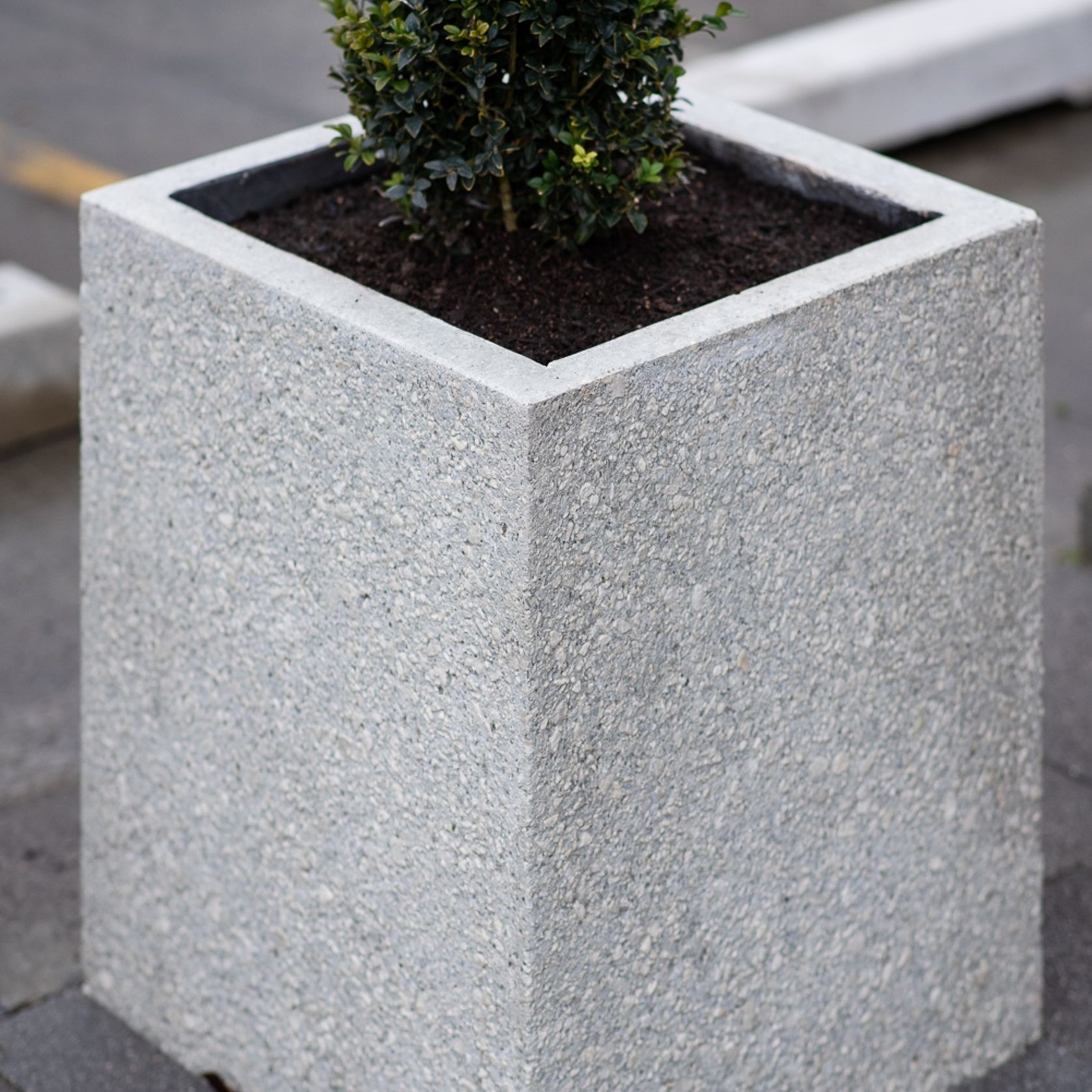 Concrete Planter Boxes gallery detail image