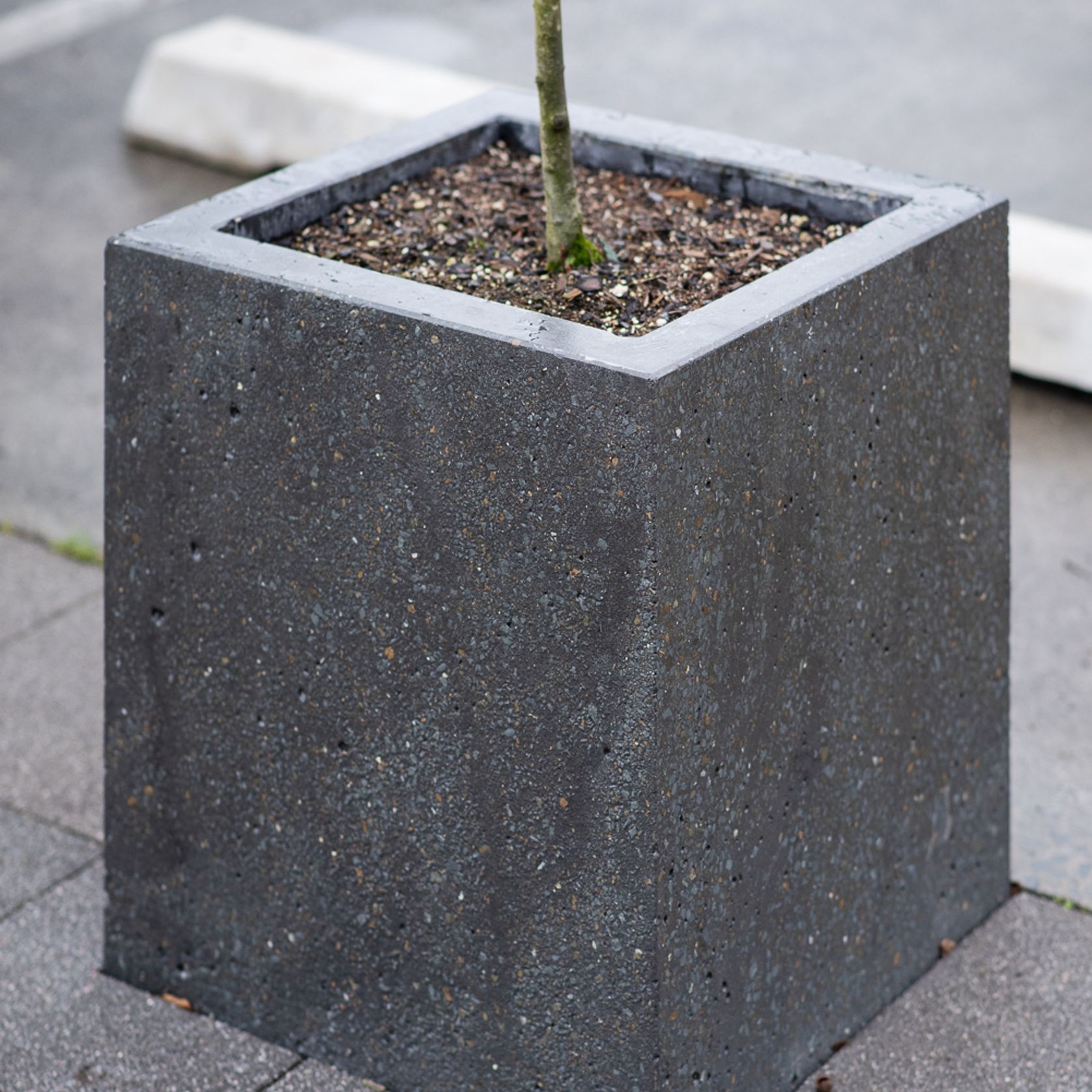 Concrete Planter Boxes gallery detail image