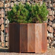 Boxer Planter gallery detail image