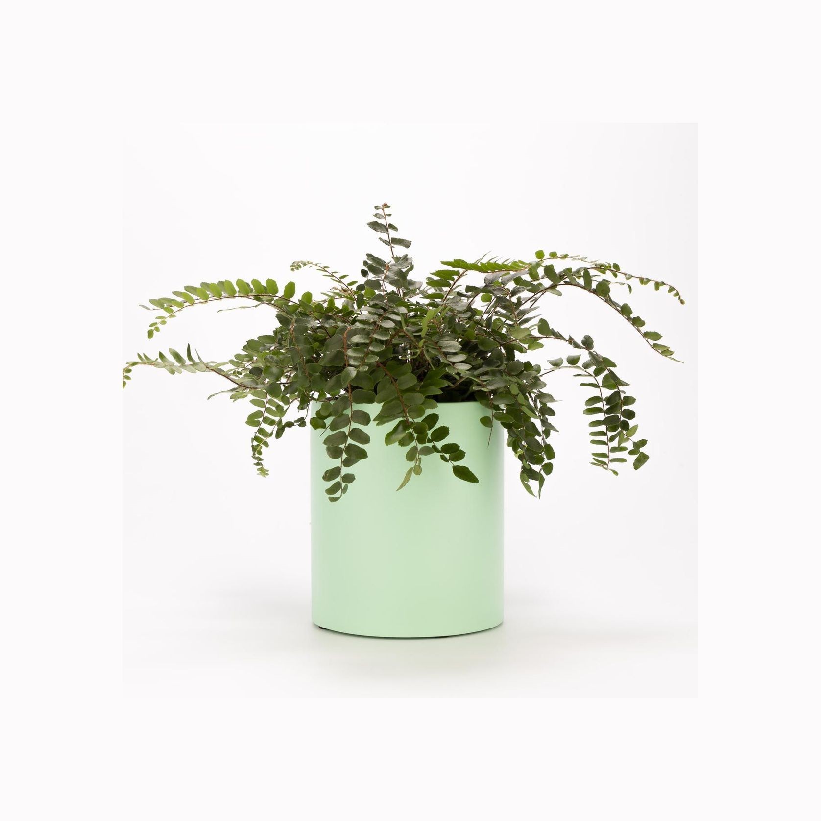 Wilston Cylinder gallery detail image