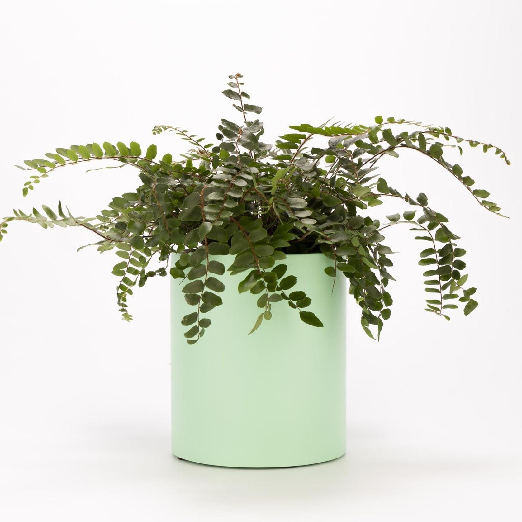 Wilston Cylinder gallery detail image