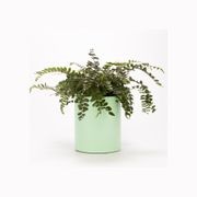 Wilston Cylinder gallery detail image