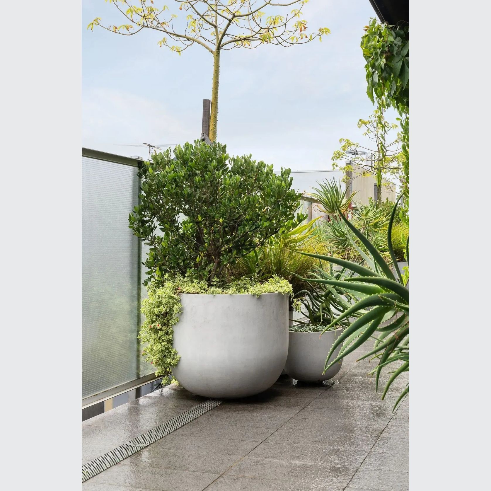 Urbis | Glass Fiber Reinforced Concrete Planters gallery detail image