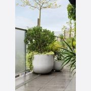 Urbis | Glass Fiber Reinforced Concrete Planters gallery detail image