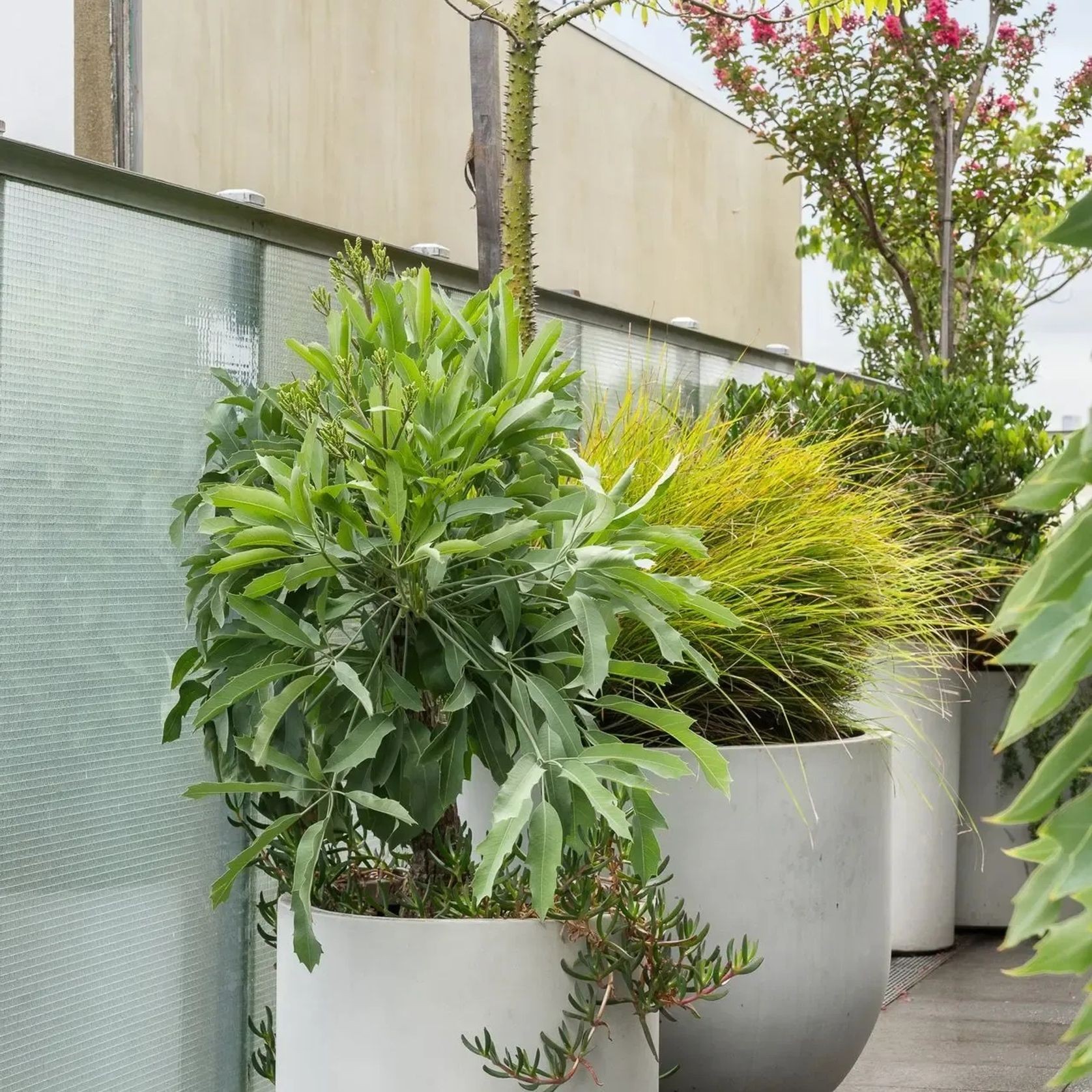 Urbis | Glass Fiber Reinforced Concrete Planters gallery detail image