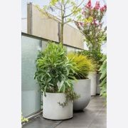 Urbis | Glass Fiber Reinforced Concrete Planters gallery detail image