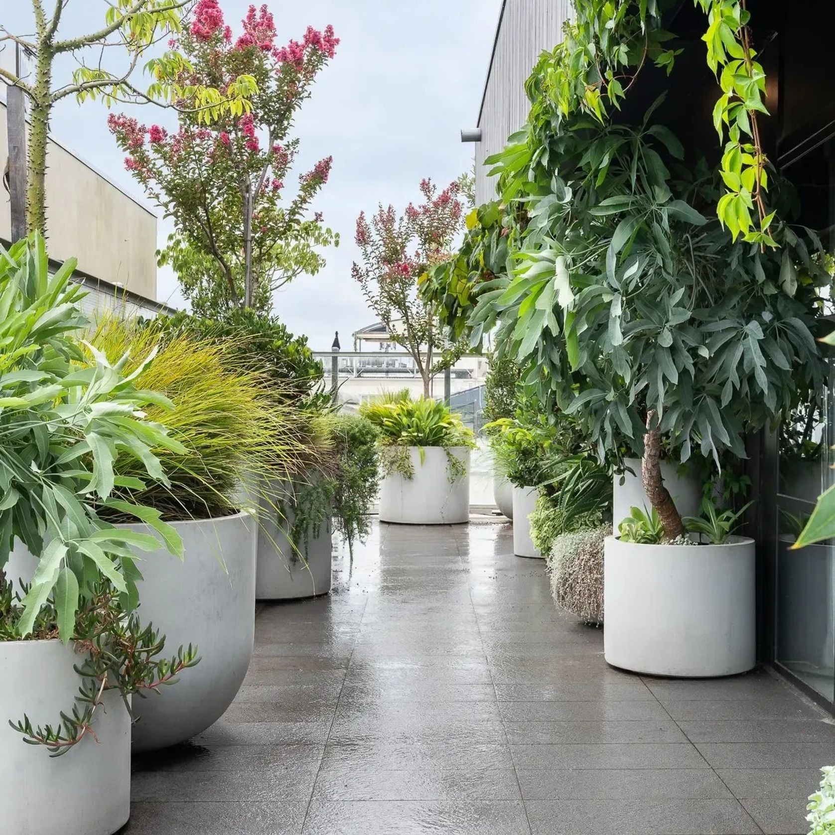 Urbis | Glass Fiber Reinforced Concrete Planters gallery detail image