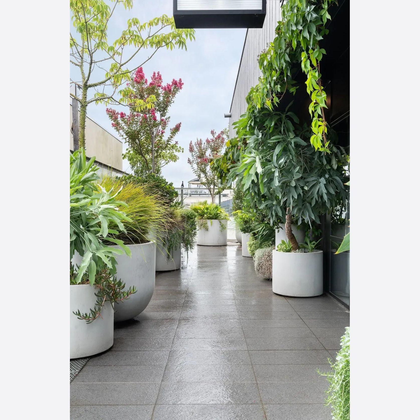 Urbis | Glass Fiber Reinforced Concrete Planters gallery detail image