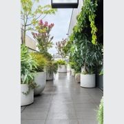 Urbis | Glass Fiber Reinforced Concrete Planters gallery detail image