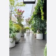 Urbis | Glass Fiber Reinforced Concrete Planters gallery detail image