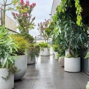 Urbis | Glass Fiber Reinforced Concrete Planters gallery detail image