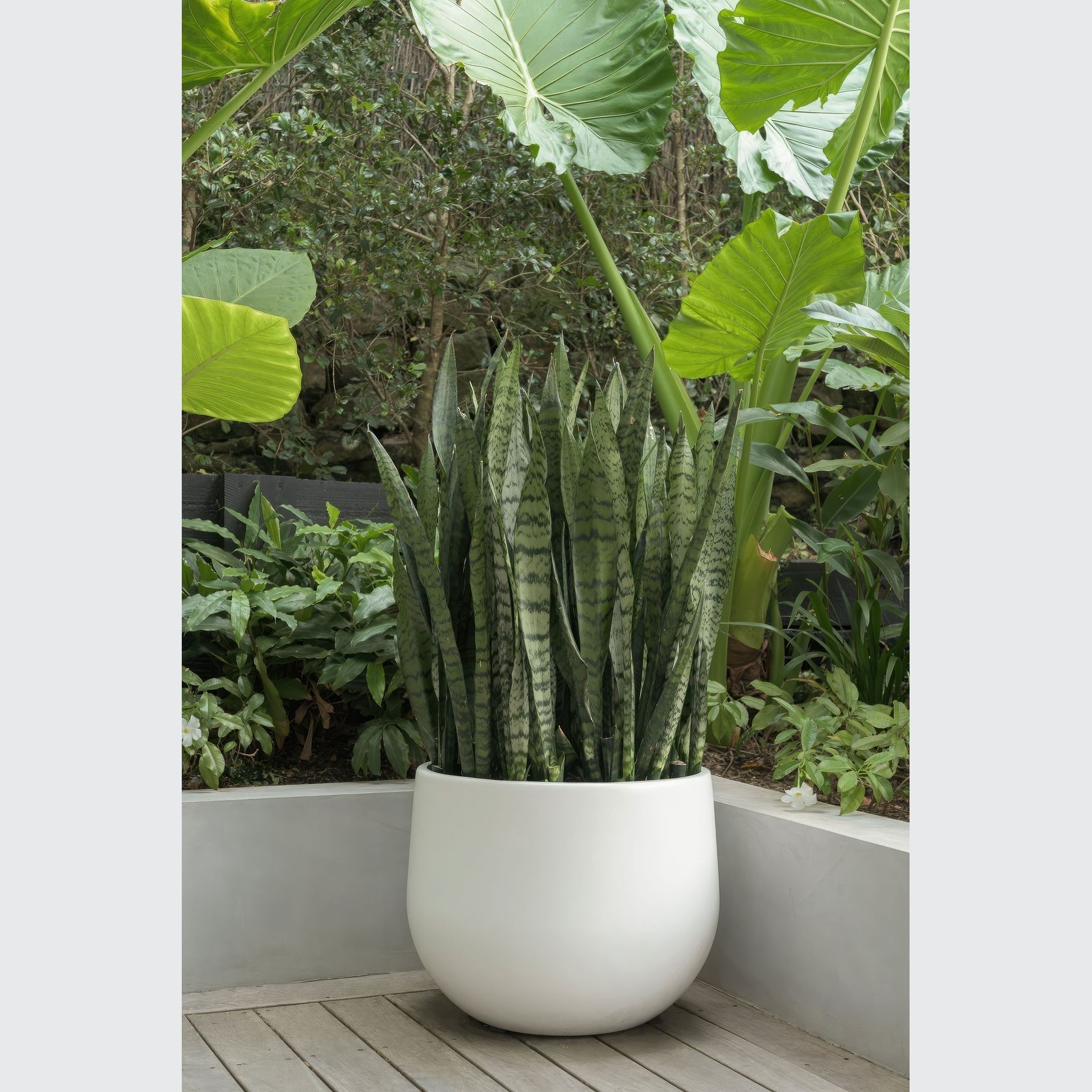 Hibernate 86 Degrees Round - Salt gallery detail image