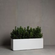Hibernate Low Line Planters - Salt gallery detail image