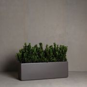 Hibernate Low Line Planters - Slate gallery detail image