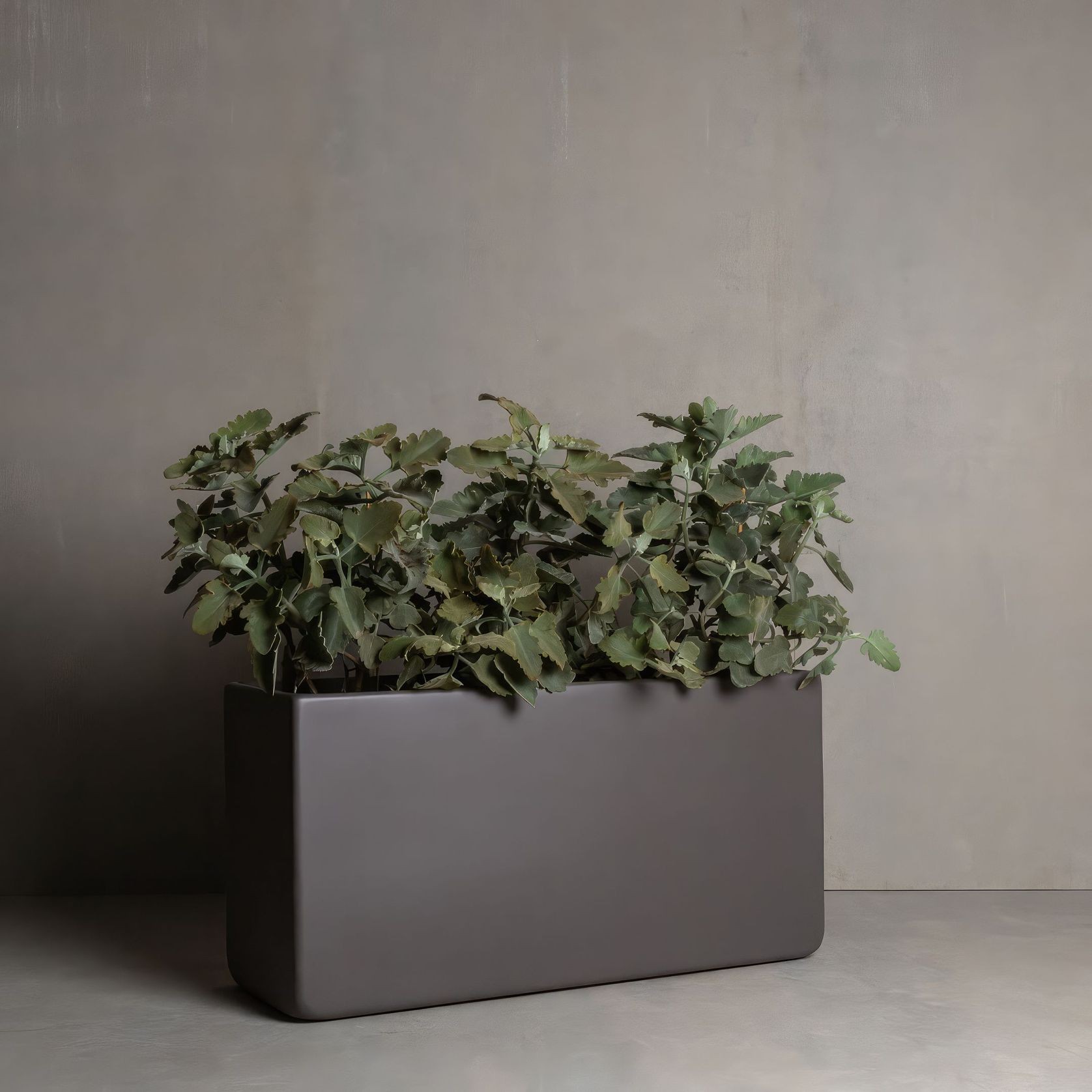 Hibernate Low Line Planters - Slate gallery detail image