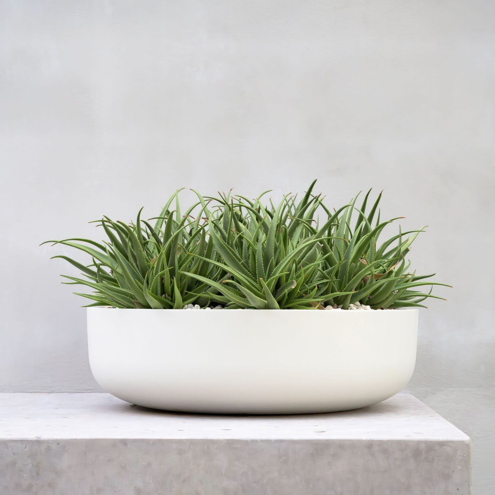 Hibernate 92 Degrees Low Bowl - Salt gallery detail image