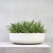 Hibernate 92 Degrees Low Bowl - Salt gallery detail image