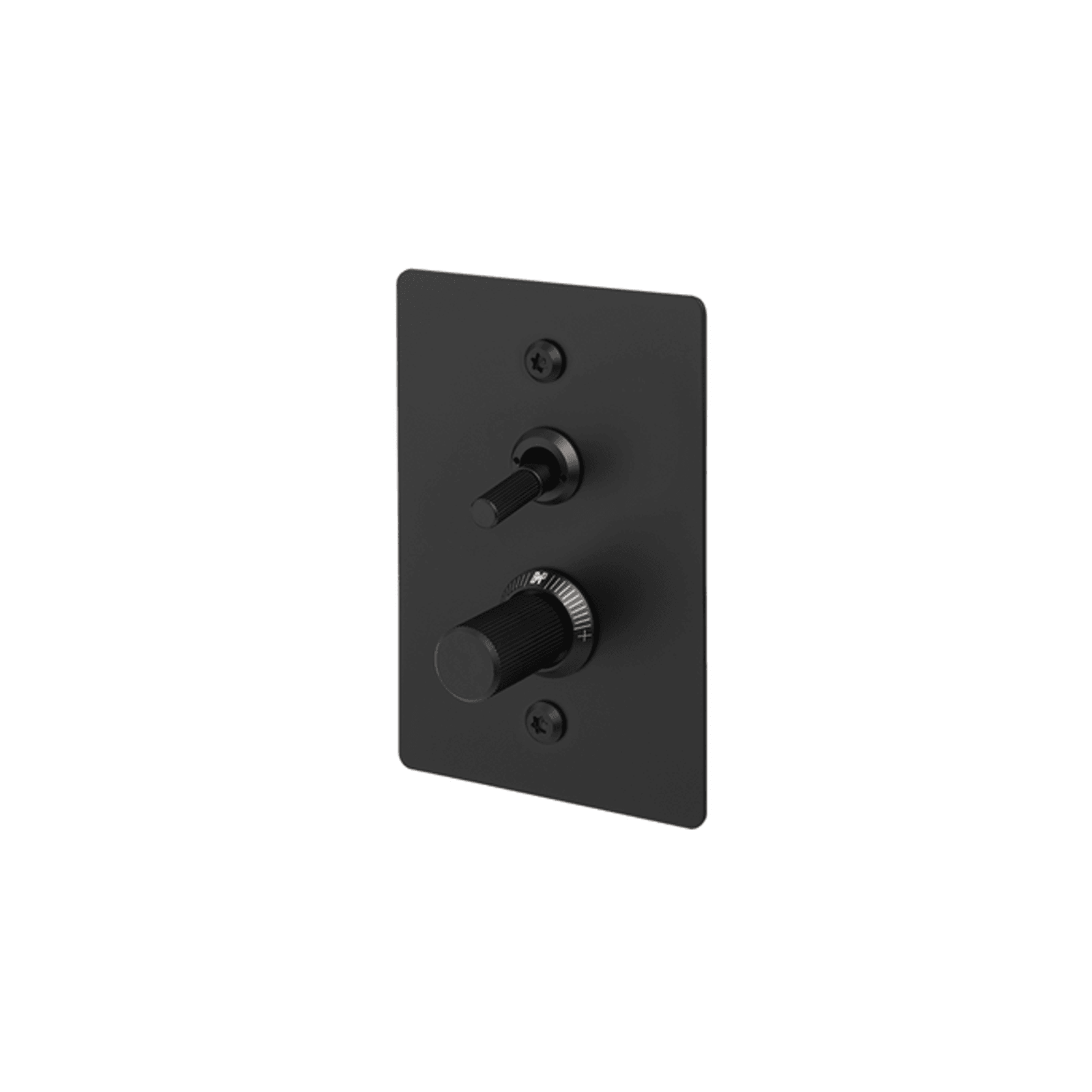 Buster + Punch 2G Toggle+Dimmer Vertical Linear gallery detail image