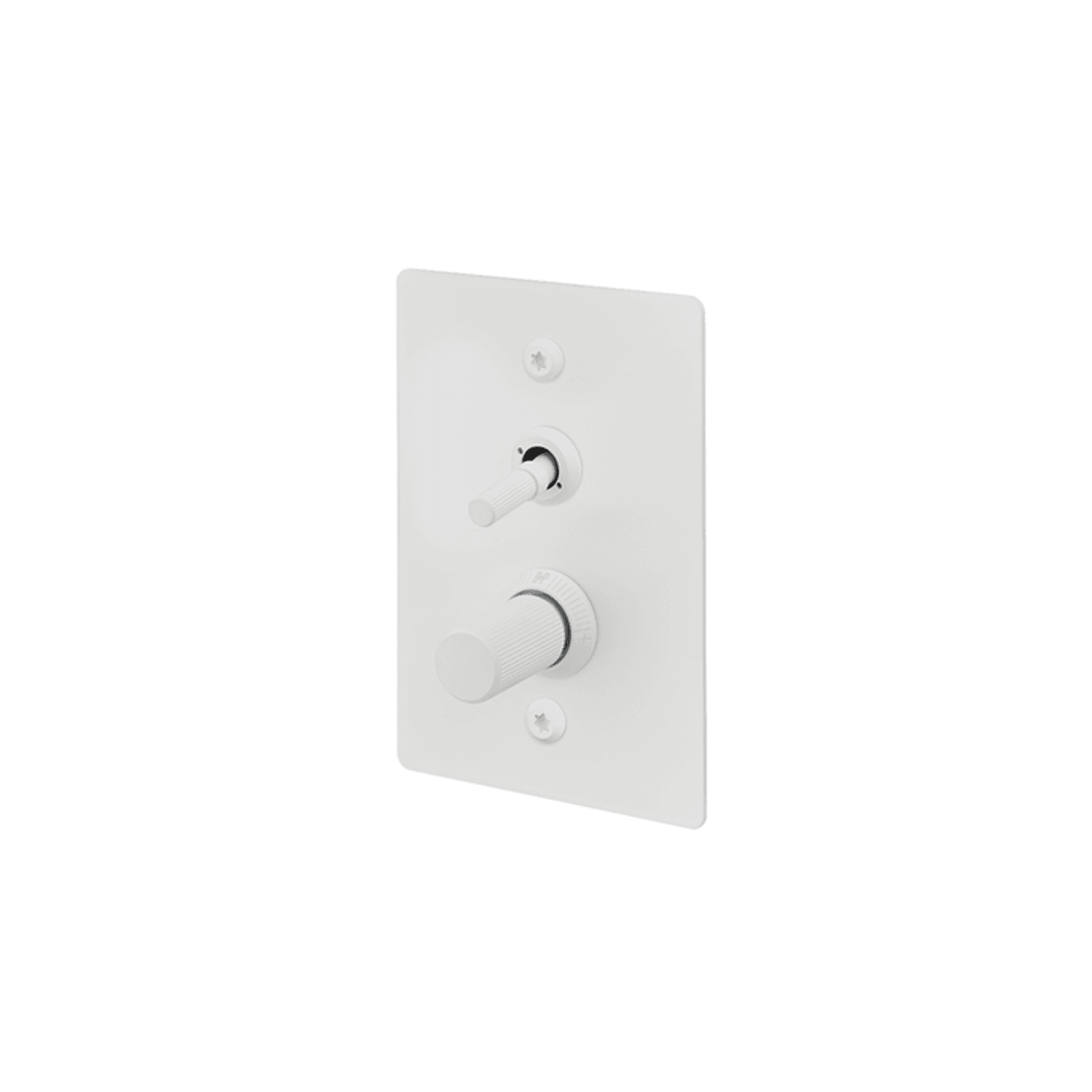 Buster + Punch 2G Toggle+Dimmer Vertical Linear gallery detail image