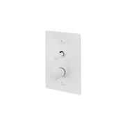Buster + Punch 2G Toggle+Dimmer Vertical Linear gallery detail image