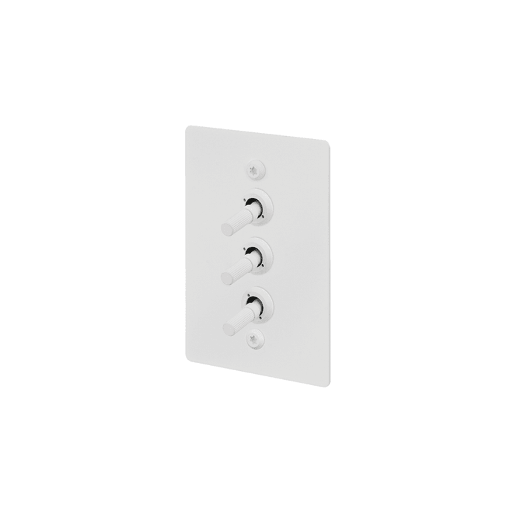Buster + Punch 3G Toggle Vertical 2-Way Linear gallery detail image