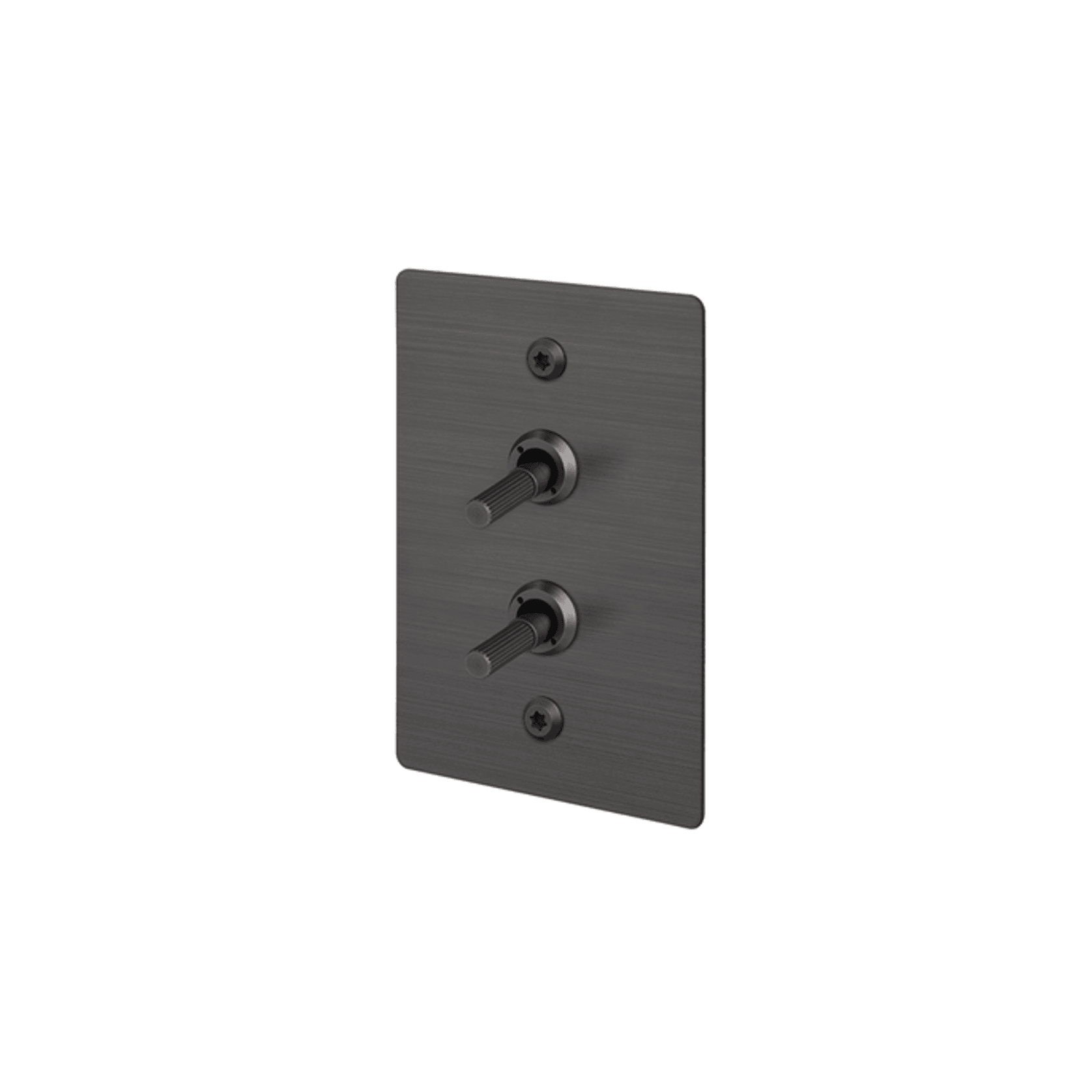 Buster + Punch 2G Toggle Vertical 2-Way Linear gallery detail image