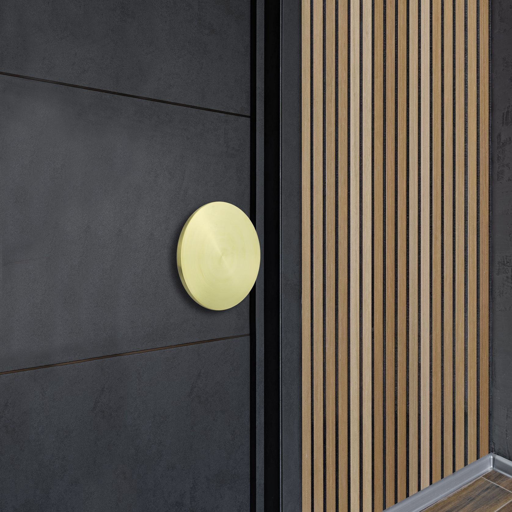 Circular Entrance Pull 3994 gallery detail image