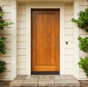 Panther – Iron Door Pull Handle gallery detail image