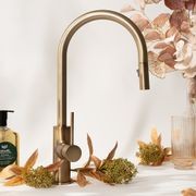 Mira Brushed Vintage Antique Brass Pull Out Mixer gallery detail image