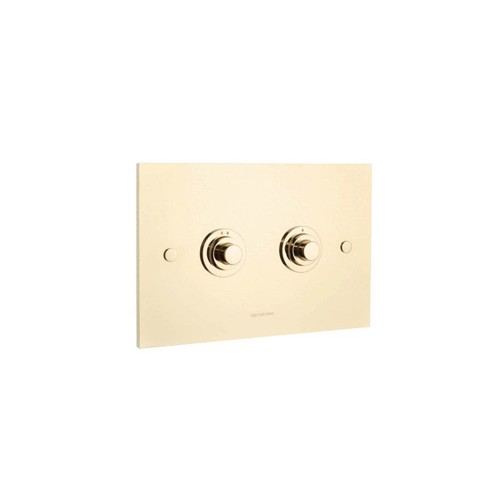 Aquadomo Toilet Flush Plates gallery detail image