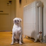 Montpellier Cast Iron Radiator Range by Paladin gallery detail image