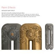 Paladin Bartholomew Electric Cast Iron Radiators gallery detail image