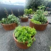 Bottomless Cylinder Planter gallery detail image