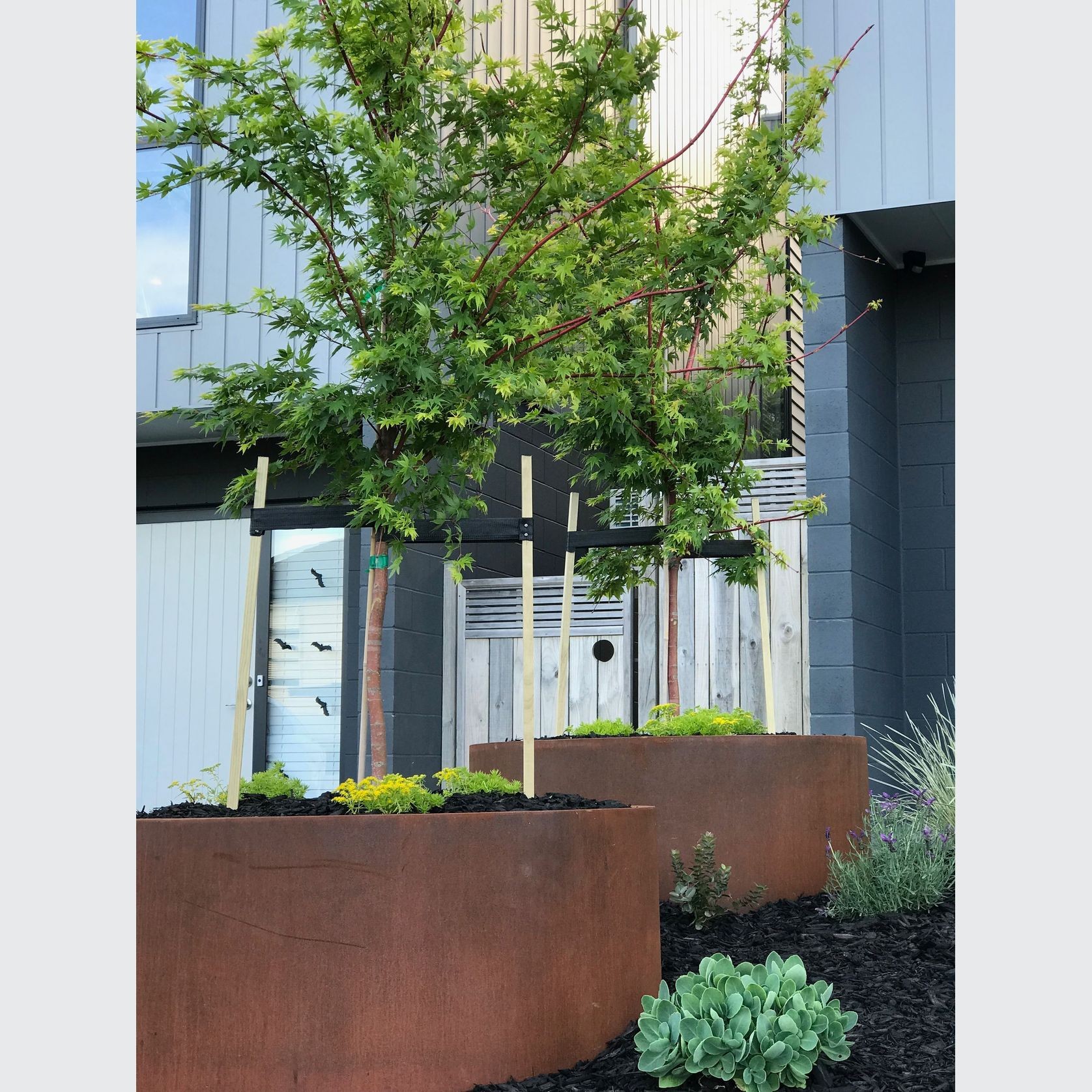 Bottomless Cylinder Planter gallery detail image