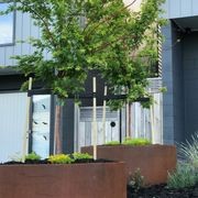 Bottomless Cylinder Planter gallery detail image