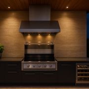 BBQ Alfresco Rangehood 1200mm - DBH1200 gallery detail image