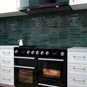Falcon 110cm Infusion Rangehood gallery detail image